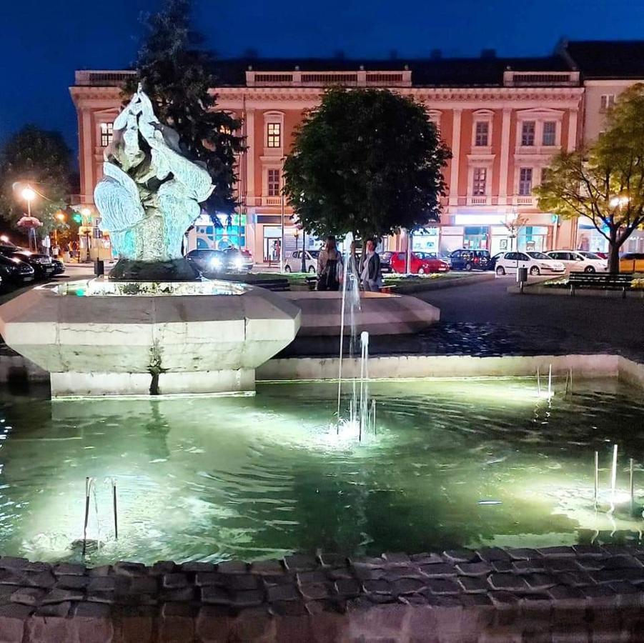 Appartement Hulk à Vrsac Extérieur photo