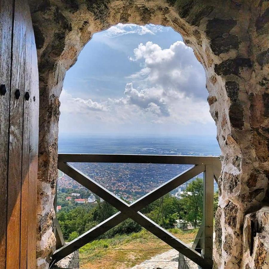 Appartement Hulk à Vrsac Extérieur photo