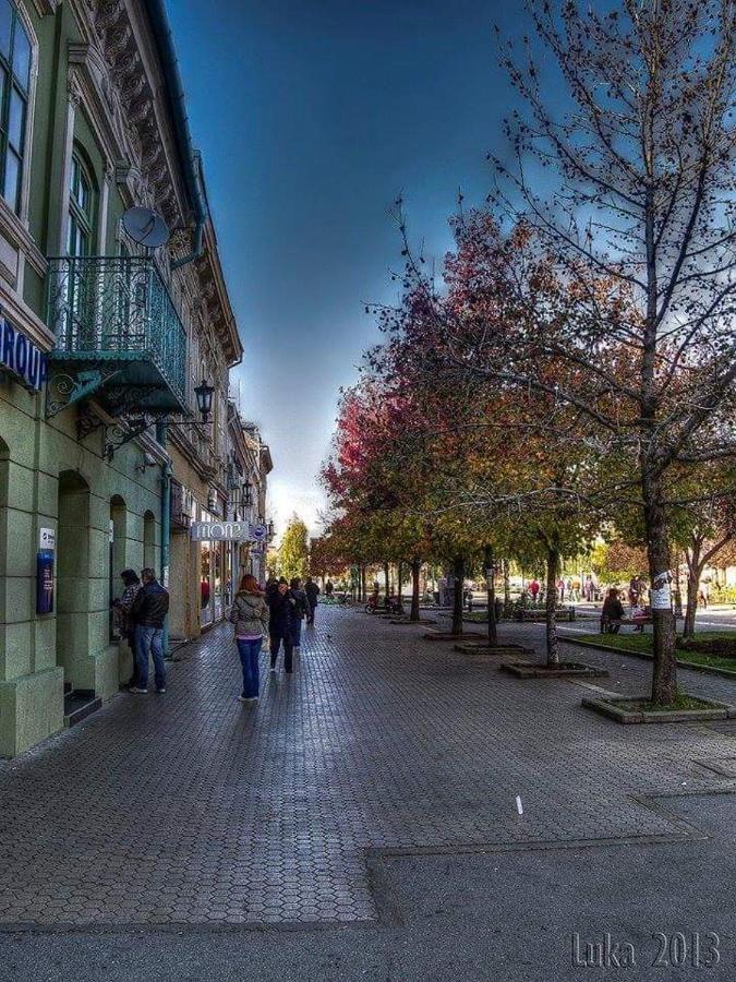 Appartement Hulk à Vrsac Extérieur photo